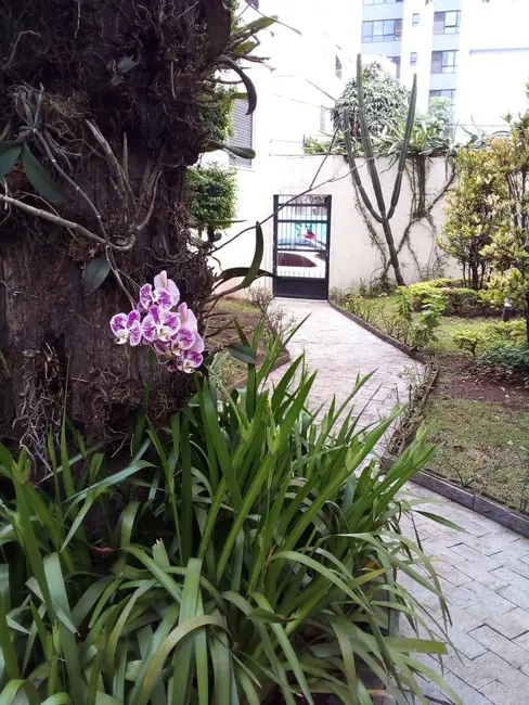 Apartamento com 3 quartos à venda, 92m2 em Vila Mariana, São Paulo - SP - imagem 5 Foto 5 de Apartamento com 3 quartos à venda, 92m2 em Vila Mariana, São Paulo - SP