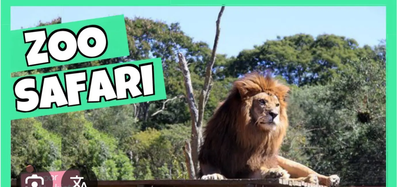 Foto 5 de Apartamento com 2 quartos à venda e para alugar, 62m2 em Saúde, São Paulo - SP