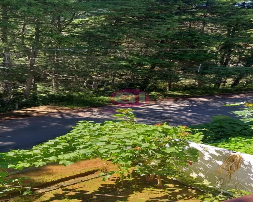 Foto 2 de Casa com 3 quartos à venda, 330m2 em Campos Do Jordao - SP