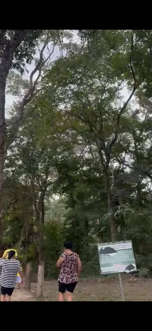 Foto 6 de Chácara com 2 quartos à venda, 400m2 em Cuiaba - MT