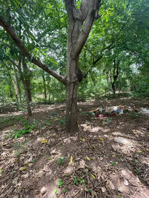 Foto 6 de Chácara com 3 quartos à venda, 256m2 em Cuiaba - MT