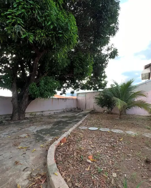 Foto 3 de Casa com 3 quartos à venda e para alugar, 1200m2 em Jardim Califórnia, Cuiaba - MT
