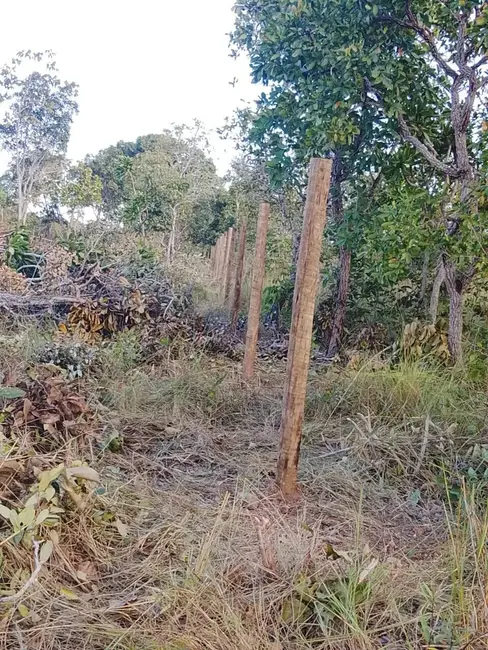 Foto 3 de Chácara com 1 quarto à venda, 30000m2 em Santa Cruz, Cuiaba - MT