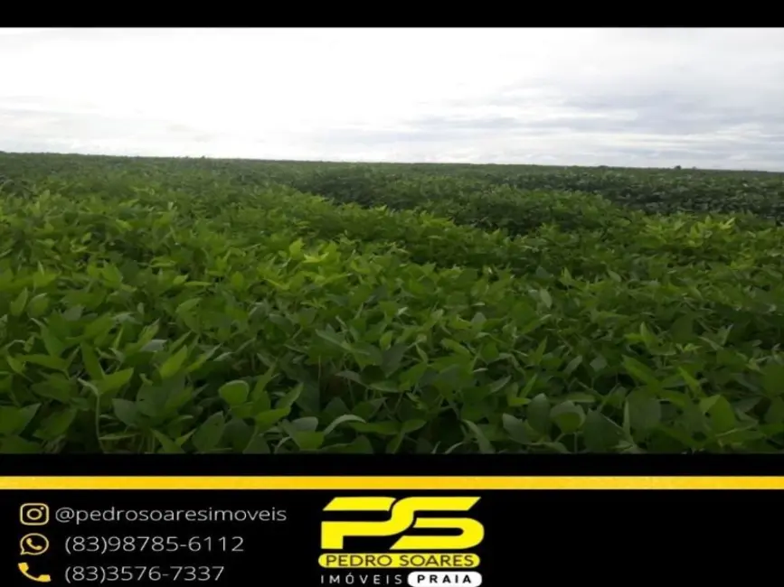 Foto 1 de Fazenda / Haras à venda, 16777215m2 em Águas Negras (Icoaraci), Belem - PA