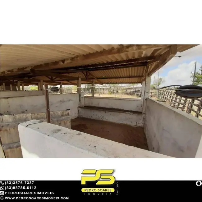 Fazenda / Haras com 1 quarto à venda, 150000m2 em Centro, Sape - PB - imagem 9 Foto 9 de Fazenda / Haras com 1 quarto à venda, 150000m2 em Centro, Sape - PB