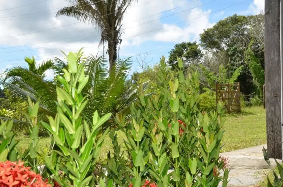 Foto 7 de Sítio / Rancho à venda, 40000m2 em Conde - PB