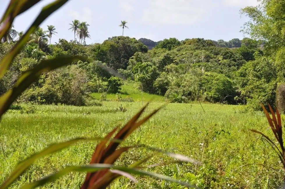 Foto 6 de Sítio / Rancho com 3 quartos à venda, 16000m2 em Conde - PB