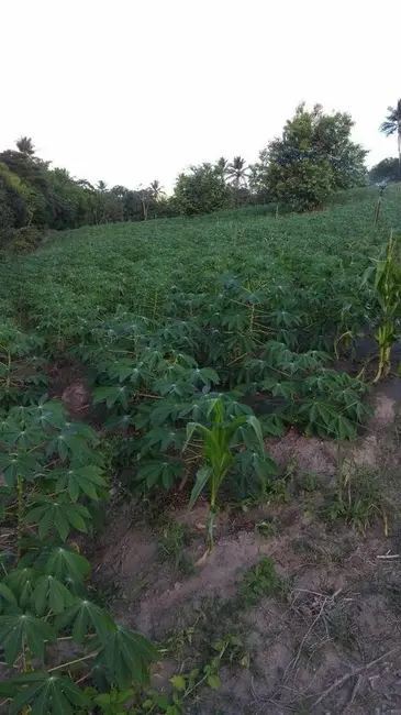 Foto 4 de Sítio / Rancho com 3 quartos à venda, 16000m2 em Conde - PB