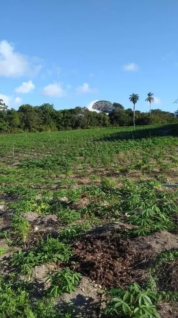 Foto 1 de Sítio / Rancho com 3 quartos à venda, 16000m2 em Conde - PB