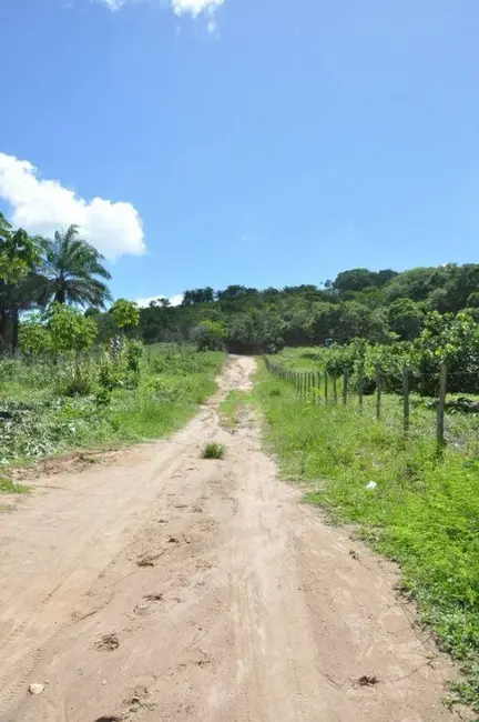 Foto 9 de Sítio / Rancho com 3 quartos à venda, 16000m2 em Conde - PB