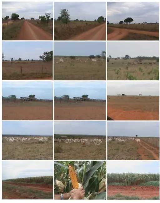 Foto 1 de Fazenda / Haras com 1 quarto à venda, 103m2 em Centro, Unai - MG