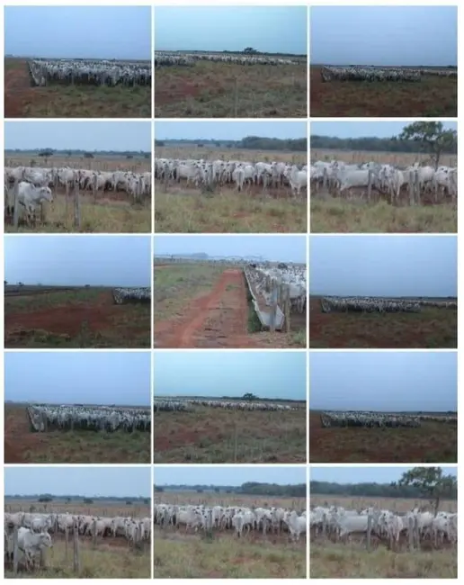Foto 2 de Fazenda / Haras com 1 quarto à venda, 103m2 em Centro, Unai - MG