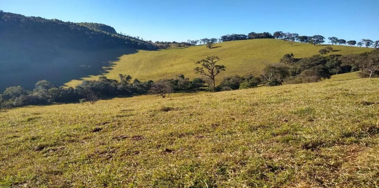 Foto 1 de Fazenda / Haras com 1 quarto à venda, 250000m2 em Camanducaia - MG
