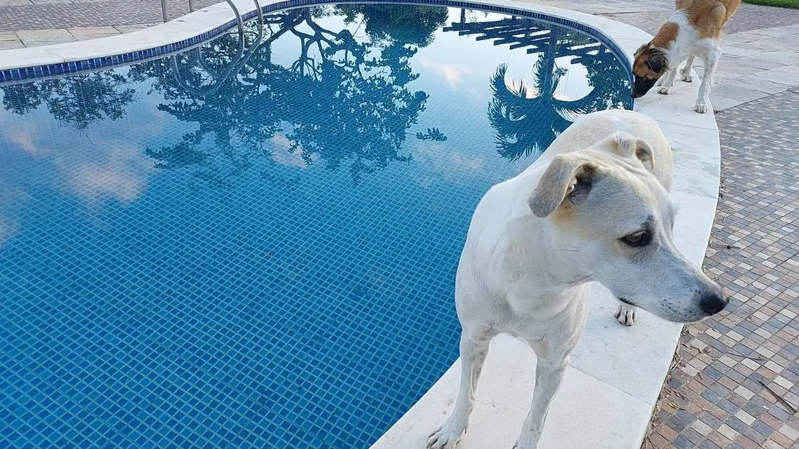 Foto 3 de Chácara com 8 quartos para alugar, 70000m2 em Sítio, Lagoa Seca - PB