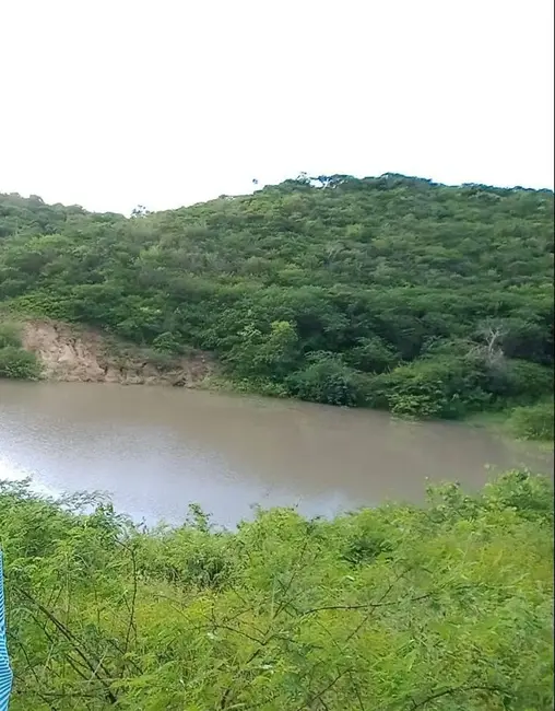 Foto 4 de Sítio / Rancho com 1 quarto à venda, 110000m2 em Remigio - PB
