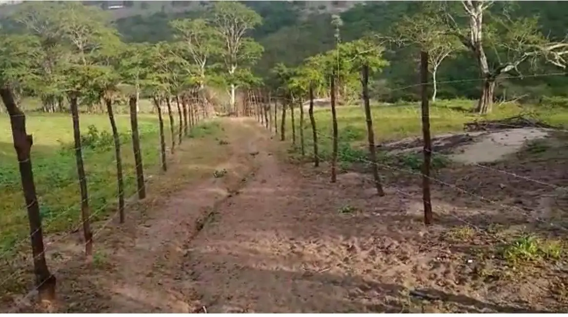 Foto 5 de Sítio / Rancho com 1 quarto à venda, 110000m2 em Remigio - PB