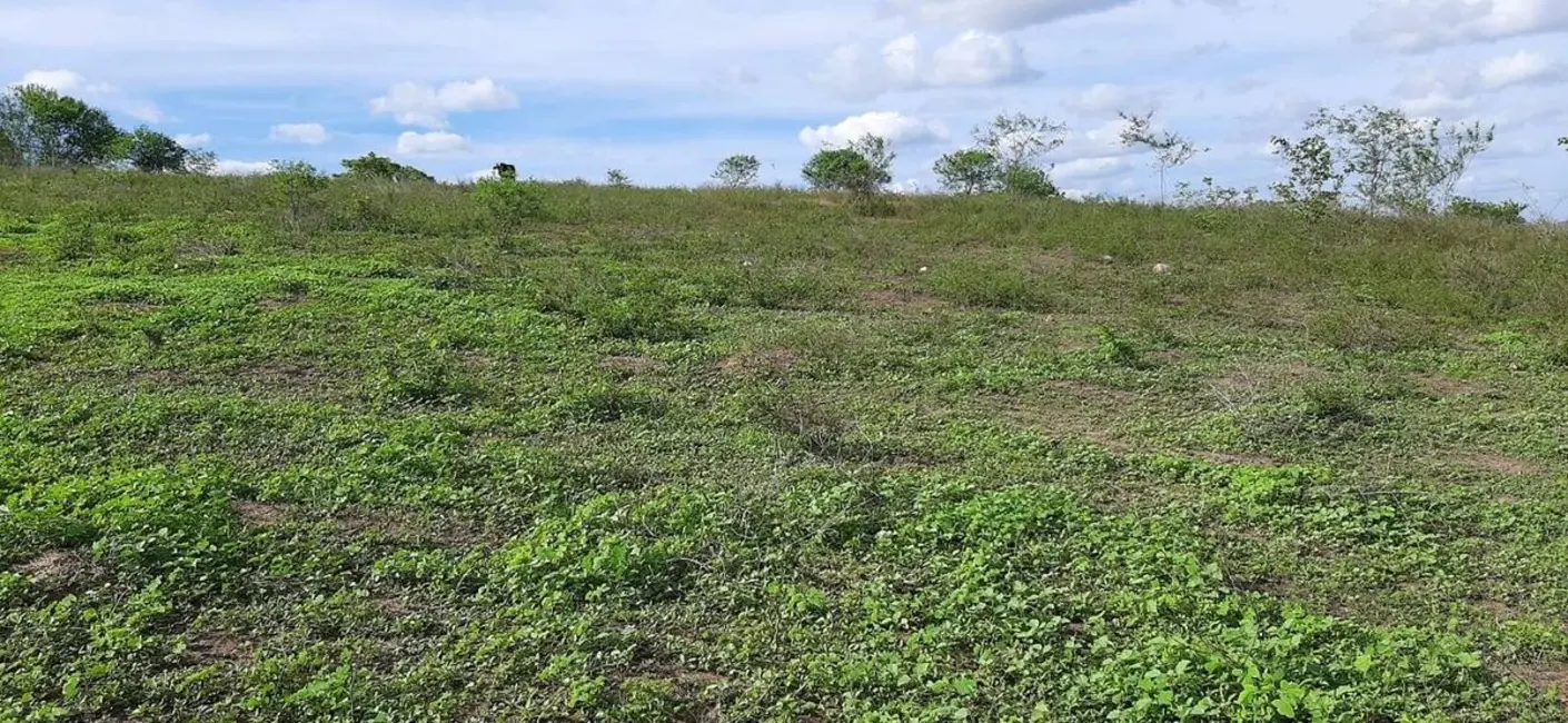 Foto 9 de Fazenda / Haras com 1 quarto à venda, 600m2 em Alagoinha - PB