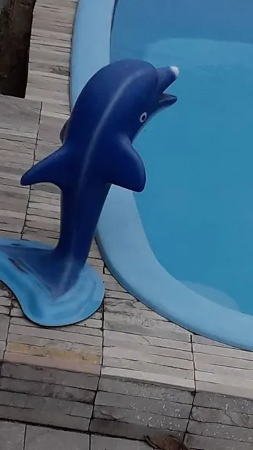 Casa com 4 quartos à venda, 300m2 em Centro, Conde - PB - imagem 6 Foto 6 de Casa com 4 quartos à venda, 300m2 em Centro, Conde - PB