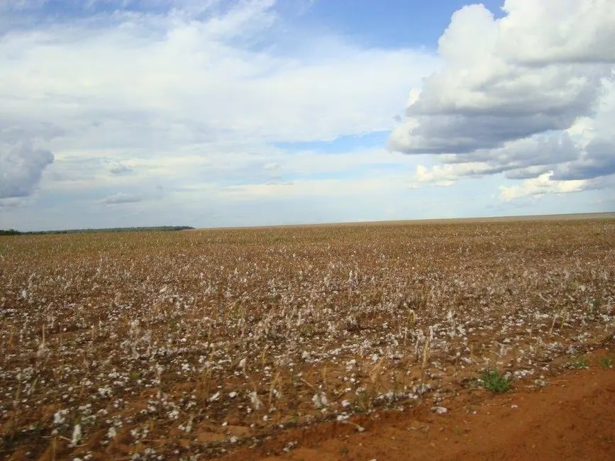 Fazenda / Haras com 1 quarto à venda, 90000m2 em Agua Boa - MT - imagem 4 Foto 4 de Fazenda / Haras com 1 quarto à venda, 90000m2 em Agua Boa - MT