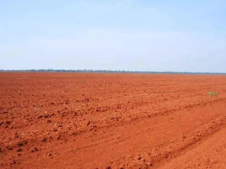 Fazenda / Haras com 1 quarto à venda, 90000m2 em Agua Boa - MT - imagem 3 Foto 3 de Fazenda / Haras com 1 quarto à venda, 90000m2 em Agua Boa - MT