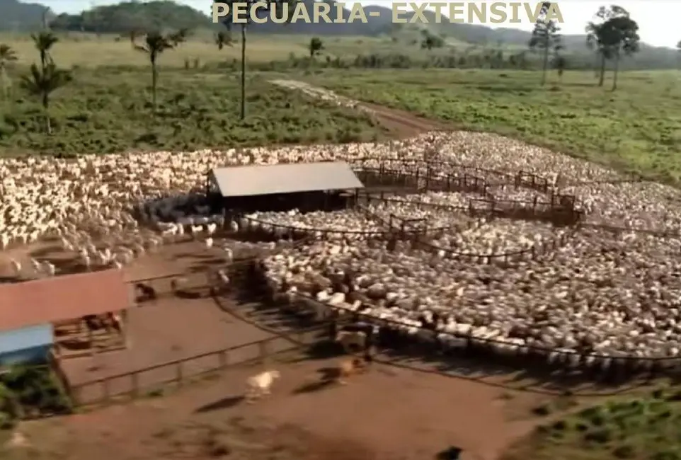 Foto 7 de Fazenda / Haras com 2 quartos à venda, 510000m2 em Santa Barbara Do Para - PA