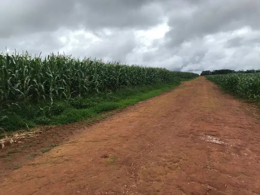 Foto 8 de Fazenda / Haras com 20 quartos à venda, 17800m2 em Agua Boa - MT