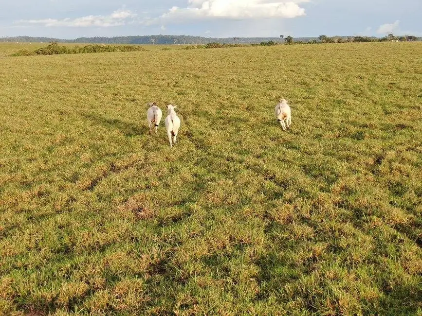Foto 9 de Fazenda / Haras com 1 quarto à venda, 12000m2 em Ribeirao Cascalheira - MT
