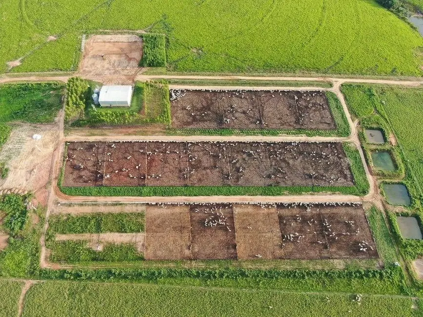 Foto 6 de Fazenda / Haras com 1 quarto à venda, 12000m2 em Ribeirao Cascalheira - MT