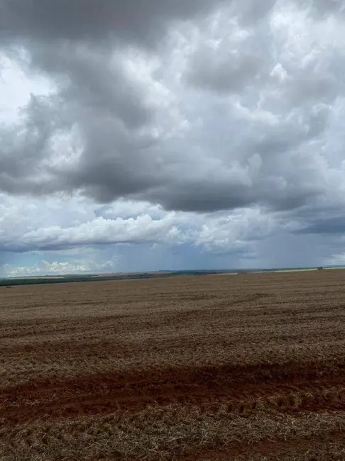 Fazenda / Haras à venda, 10626m2 em Centro, Campo Novo Do Parecis - MT - imagem 5 Foto 5 de Fazenda / Haras à venda, 10626m2 em Centro, Campo Novo Do Parecis - MT