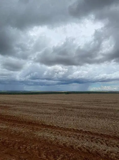 Fazenda / Haras à venda, 10626m2 em Centro, Campo Novo Do Parecis - MT - imagem 8 Foto 8 de Fazenda / Haras à venda, 10626m2 em Centro, Campo Novo Do Parecis - MT