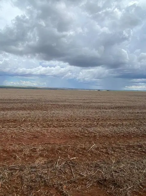 Fazenda / Haras à venda, 10626m2 em Centro, Campo Novo Do Parecis - MT - imagem 6 Foto 6 de Fazenda / Haras à venda, 10626m2 em Centro, Campo Novo Do Parecis - MT