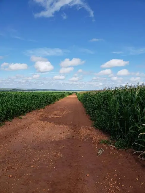 Fazenda / Haras à venda, 10626m2 em Centro, Campo Novo Do Parecis - MT - imagem 2 Foto 2 de Fazenda / Haras à venda, 10626m2 em Centro, Campo Novo Do Parecis - MT