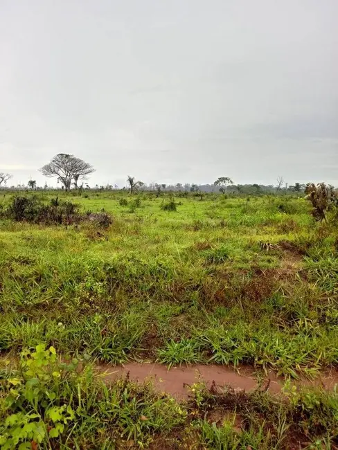 Foto 4 de Fazenda / Haras à venda, 101000m2 em Ribeirao Cascalheira - MT