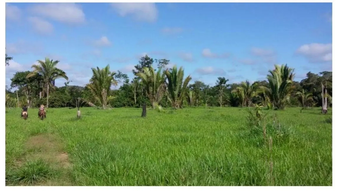 Foto 6 de Fazenda / Haras à venda, 101000m2 em Ribeirao Cascalheira - MT