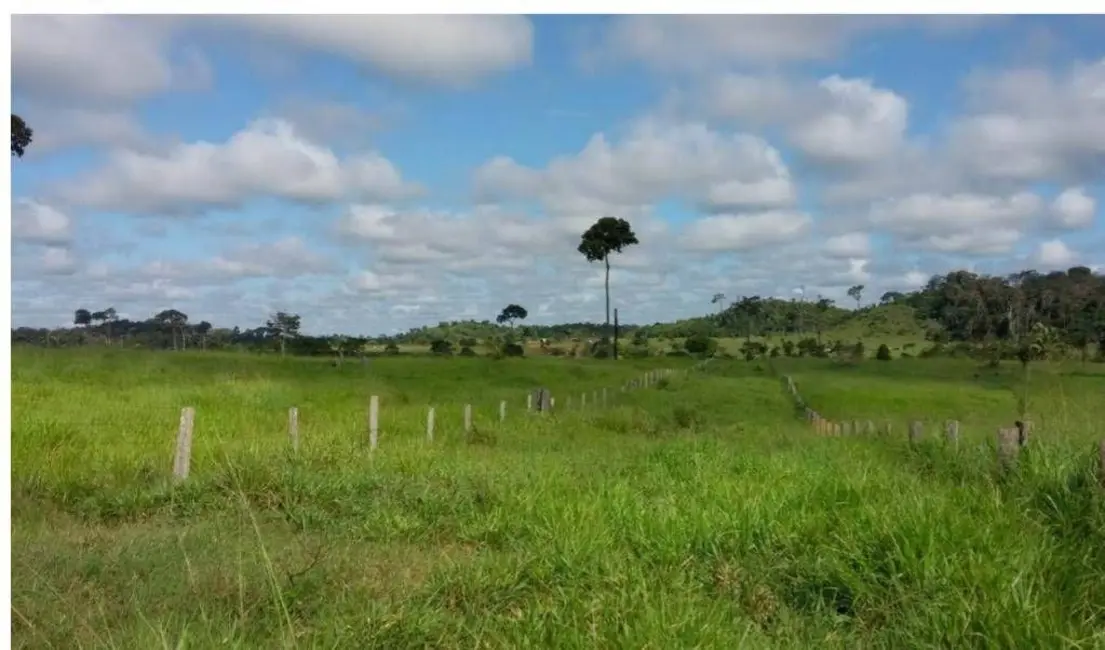 Foto 8 de Fazenda / Haras à venda, 101000m2 em Ribeirao Cascalheira - MT