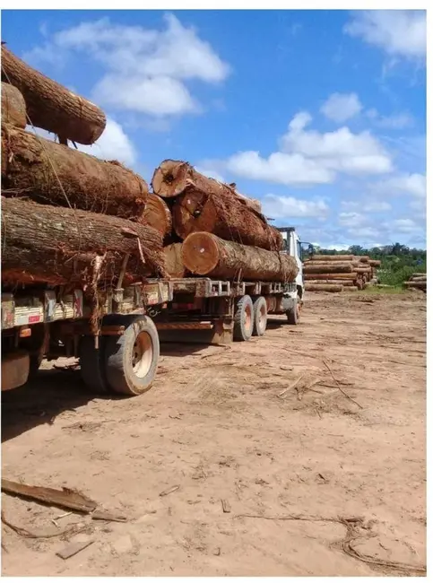 Foto 1 de Fazenda / Haras à venda, 101000m2 em Ribeirao Cascalheira - MT