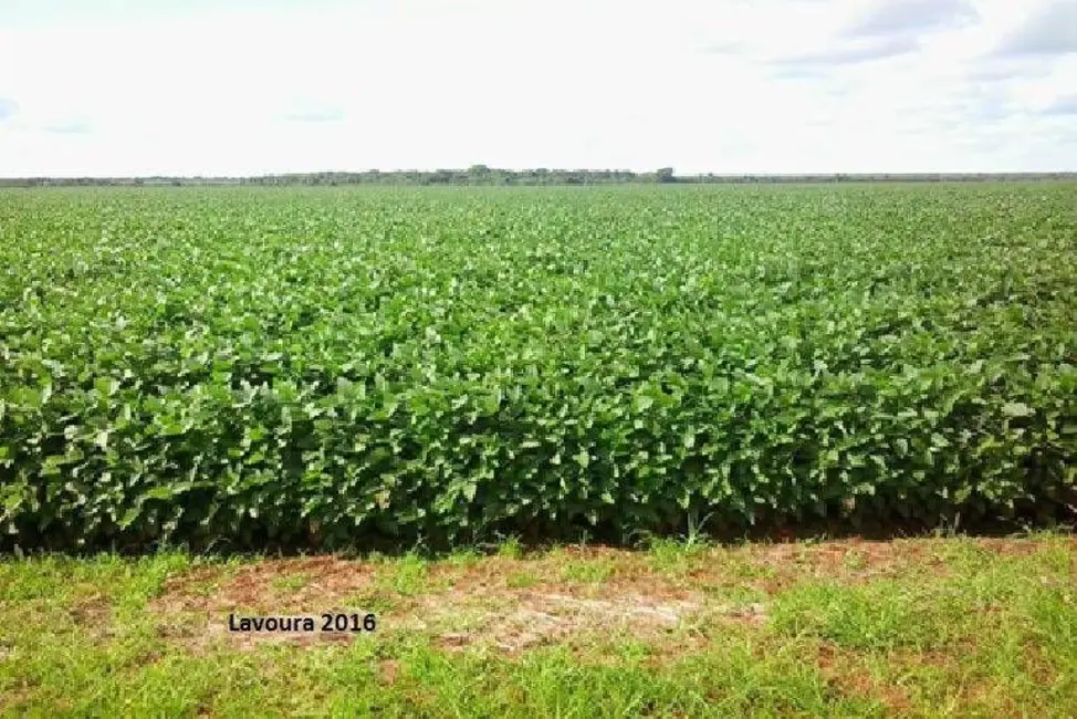 Foto 3 de Fazenda / Haras com 10 quartos à venda, 33000m2 em Porto Alegre Do Norte - MT