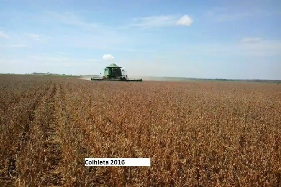 Foto 4 de Fazenda / Haras com 10 quartos à venda, 33000m2 em Porto Alegre Do Norte - MT