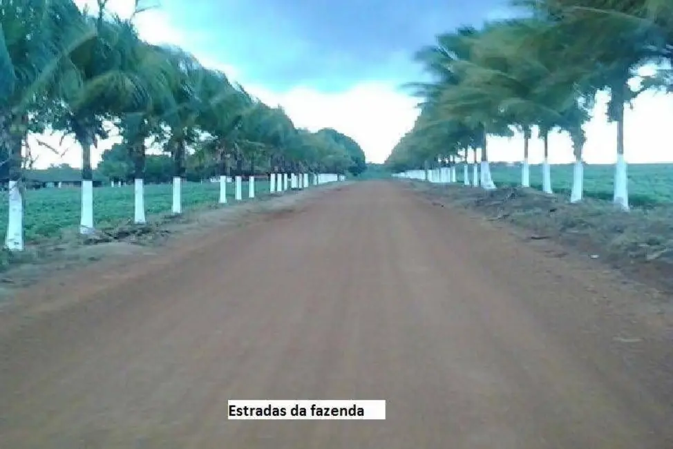 Foto 2 de Fazenda / Haras com 10 quartos à venda, 33000m2 em Porto Alegre Do Norte - MT