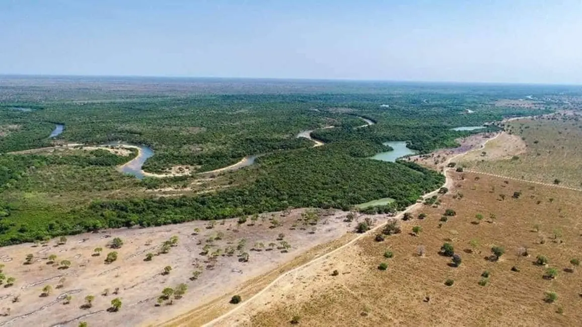Fazenda / Haras com 8 quartos à venda, 100532m2 em Centro, Campo Grande - MS - imagem 8 Foto 8 de Fazenda / Haras com 8 quartos à venda, 100532m2 em Centro, Campo Grande - MS