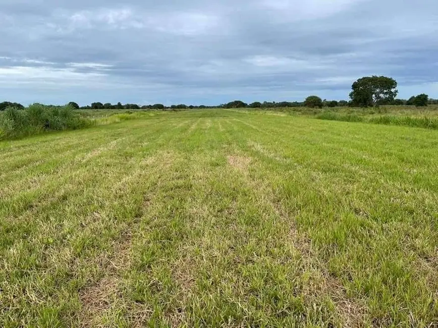 Fazenda / Haras com 8 quartos à venda, 100532m2 em Centro, Campo Grande - MS - imagem 5 Foto 5 de Fazenda / Haras com 8 quartos à venda, 100532m2 em Centro, Campo Grande - MS