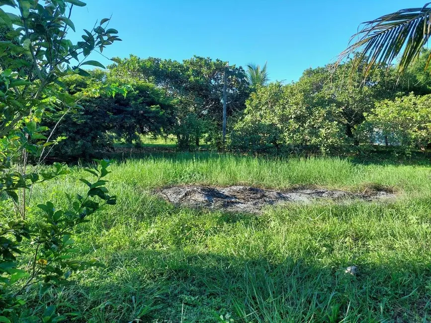 Foto 6 de Sítio / Rancho com 4 quartos à venda, 7208m2 em Conde - PB