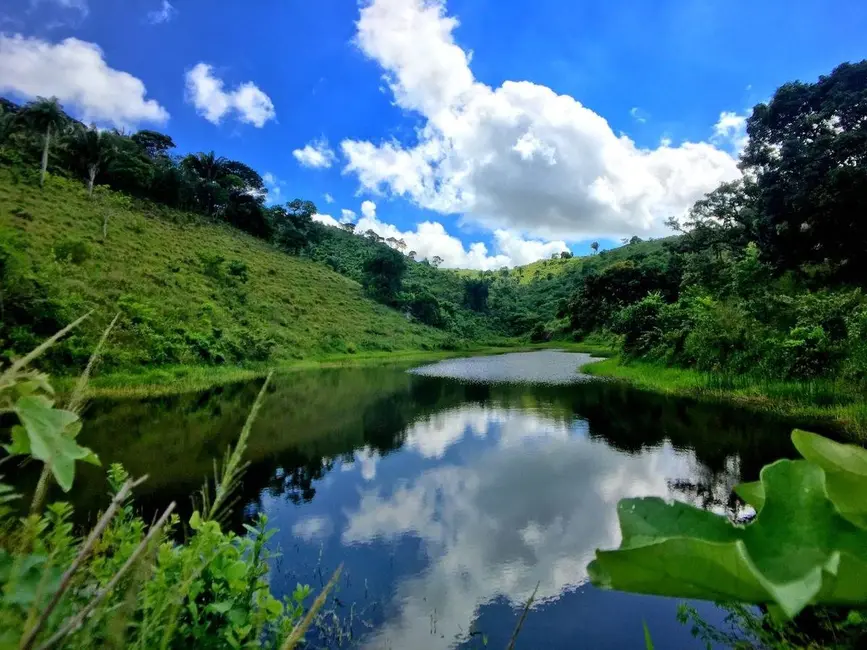 Sítio / Rancho com 1 quarto à venda, 1945m2 em Bananeiras - PB - imagem 6 Foto 6 de Sítio / Rancho com 1 quarto à venda, 1945m2 em Bananeiras - PB