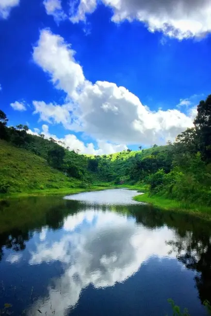 Sítio / Rancho com 1 quarto à venda, 1945m2 em Bananeiras - PB - imagem 8 Foto 8 de Sítio / Rancho com 1 quarto à venda, 1945m2 em Bananeiras - PB