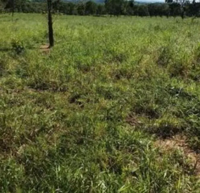 Foto 4 de Fazenda / Haras à venda em Santa Rita Do Tocantins - TO