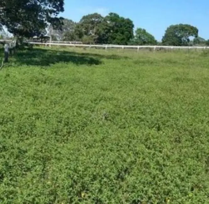 Foto 2 de Fazenda / Haras à venda em Santa Rita Do Tocantins - TO