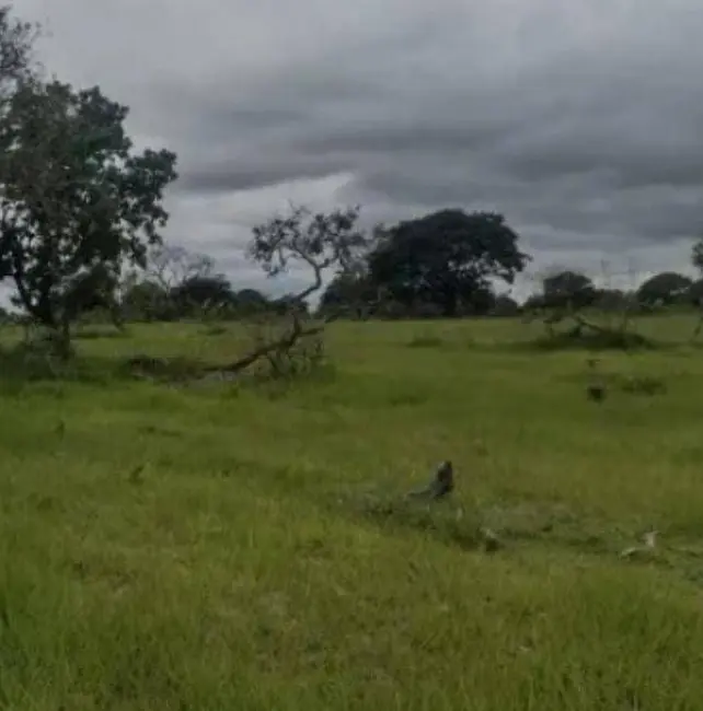 Foto 9 de Fazenda / Haras à venda em Santa Rita Do Tocantins - TO