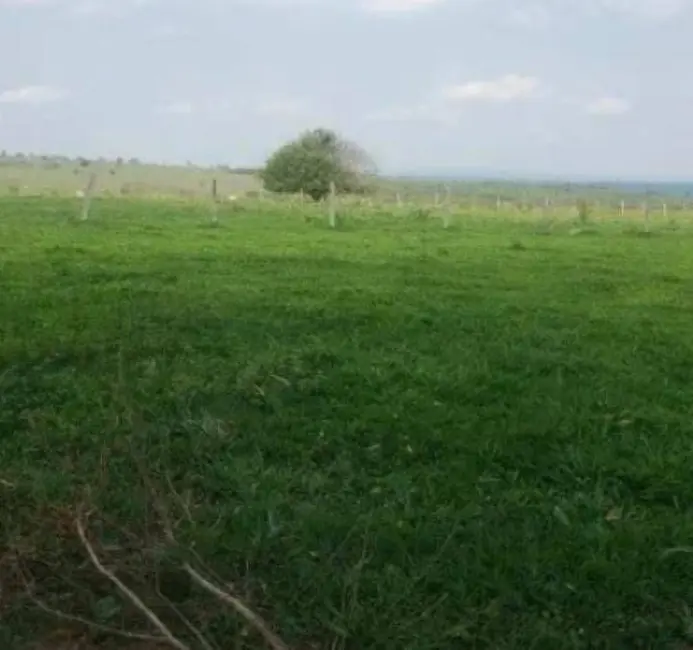Foto 6 de Fazenda / Haras à venda em Santa Rita Do Tocantins - TO