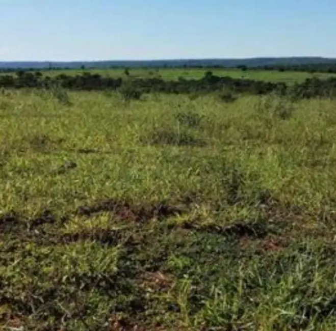 Foto 7 de Fazenda / Haras à venda em Santa Rita Do Tocantins - TO