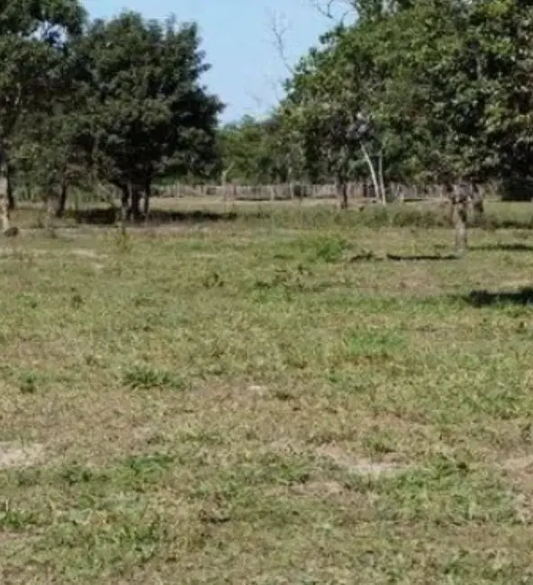 Foto 3 de Fazenda / Haras à venda em Santa Rita Do Tocantins - TO